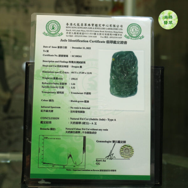 翡翠A貨玉器龍牌-青天作品獲十四屆中國神工獎優秀獎 龍頭 雕琢感十足 神龍神情威武 兇猛霸氣 - Image 9
